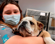Young woman holding dog at vet office.
