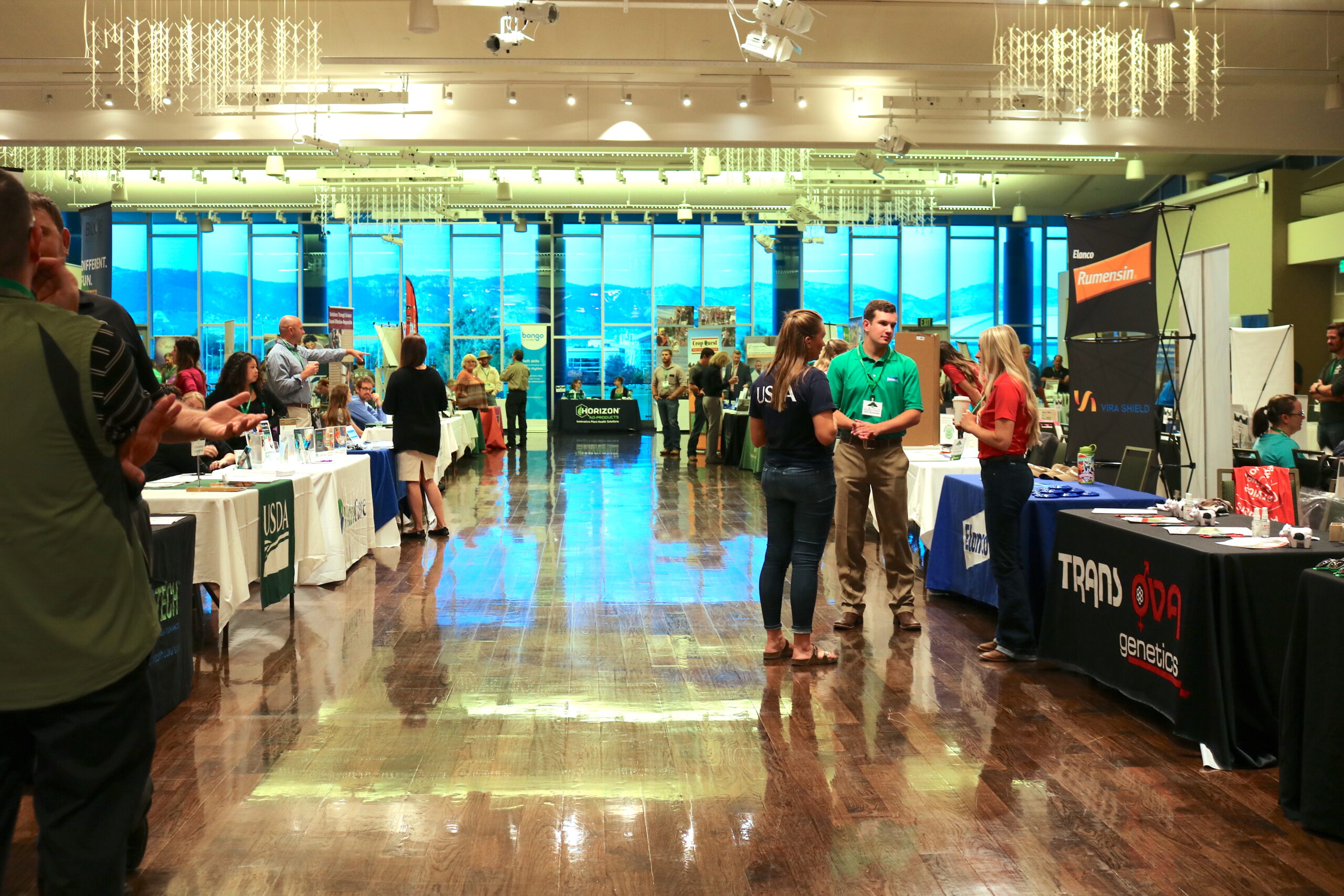 Students at a career fair